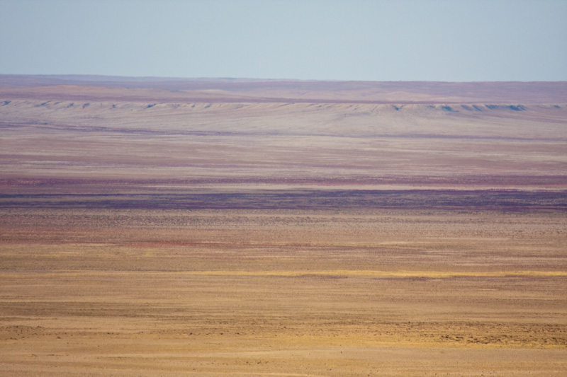 The Steppe